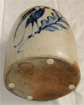 3 Gallon Antique Salt Glaze F.  B Norton Worcester Mass Cobalt Stoneware - Bird 10