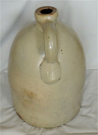 3 Gallon Antique Salt Glaze F.  B Norton Worcester Mass Cobalt Stoneware - Bird 3