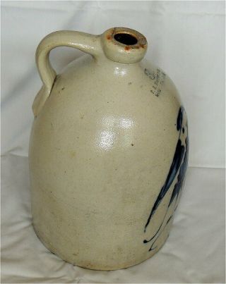 3 Gallon Antique Salt Glaze F.  B Norton Worcester Mass Cobalt Stoneware - Bird 4