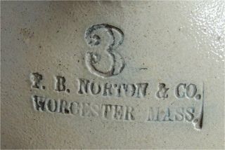3 Gallon Antique Salt Glaze F.  B Norton Worcester Mass Cobalt Stoneware - Bird 5