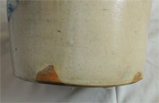 3 Gallon Antique Salt Glaze F.  B Norton Worcester Mass Cobalt Stoneware - Bird 8
