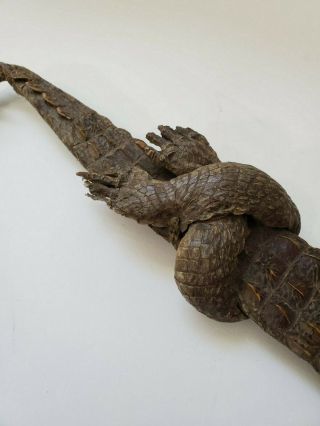unique rare antique african sudanese short sword dagger baby crocodile sheath 6