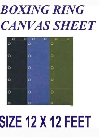 Wrestling Boxing Ring Canvas Sheet 12x12 Feet In Black,  Blue And Green