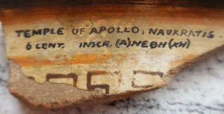 EXT RARE GREEK OSTRACON POT SHERD WITH WRITING.  TEMPLE OF APOLLO NAUKRATIS 500BC 5
