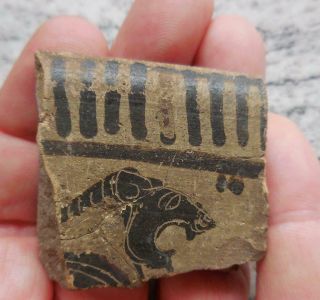 Fine Ancient Greek Painted Pot Sherd With Lion Head.  500bc Found France