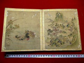 2 - 30 Japanese Antique Bird Flower hand drown pictures BOOK 10