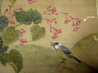 2 - 30 Japanese Antique Bird Flower hand drown pictures BOOK 5