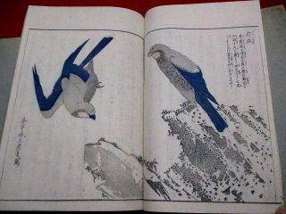 6 - 110 Hokusai Ukiyoe Nikko Japanese Woodblock Print 5 Book