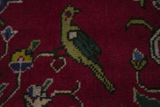 Rare Classic Vintage 6’6X9’4 Signed Persian Area Rug Oriental Home Décor Carpet 7