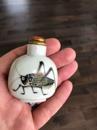 Rare Antique Imperial Chinese Porcelain Snuff Bottle 19TH Qing Katydid Cricket 10