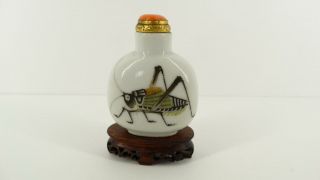 Rare Antique Imperial Chinese Porcelain Snuff Bottle 19th Qing Katydid Cricket