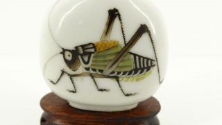 Rare Antique Imperial Chinese Porcelain Snuff Bottle 19TH Qing Katydid Cricket 2