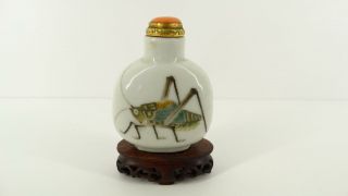 Rare Antique Imperial Chinese Porcelain Snuff Bottle 19TH Qing Katydid Cricket 4