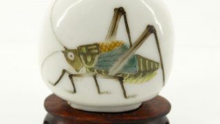 Rare Antique Imperial Chinese Porcelain Snuff Bottle 19TH Qing Katydid Cricket 5