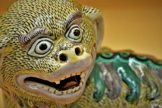 19th Century - VERY RARE Chinese FOO DOG Lion 狮 Famille Verte Porcelain CREATURE 5