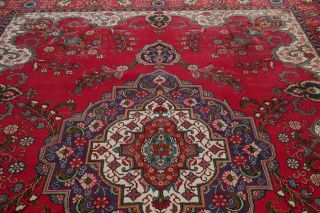 Traditional Persian Wool Area Rug Handmade Floral Oriental 9 x 13 Vintage Carpet 11