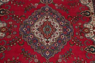 Traditional Persian Wool Area Rug Handmade Floral Oriental 9 x 13 Vintage Carpet 6