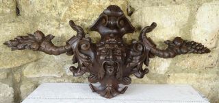 37 " Victorian French Carved Wood Architectural Pediment Oak Satyr Green Man