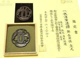 ◆tsuba◆ - Begonia Grandis Sukashi - (s) Choshu Tomoyuki ◇nbthk Hozon Paper◇69mm Box