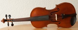 Very Old Labelled Vintage Violin " Georges Chanot 1855 " Fiddle 小提琴 ヴァイオリン Geige