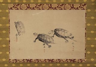 Japanese Hanging Scroll Art Painting Collaboration " Turtles " E7524