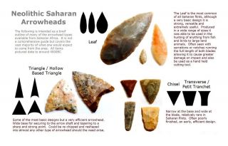 Neolithic Arrowheads in 3D Picture Frame,  Authentic Artifacts 4000BC (P002b) 6