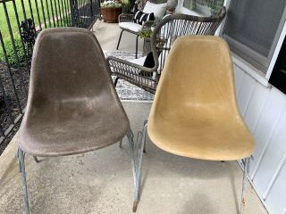 Herman Miller Charles Eames Fiberglass Side Shell Chairs Brown Tan Ochre