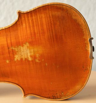 old violin 4/4 geige viola cello fiddle label FRANCESCO RUGGIERI 10