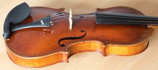 old violin 4/4 geige viola cello fiddle label FRANCESCO RUGGIERI 11