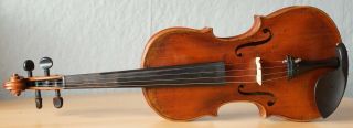 old violin 4/4 geige viola cello fiddle label FRANCESCO RUGGIERI 2