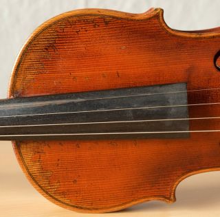 old violin 4/4 geige viola cello fiddle label FRANCESCO RUGGIERI 4