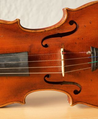 old violin 4/4 geige viola cello fiddle label FRANCESCO RUGGIERI 5
