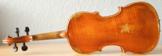 old violin 4/4 geige viola cello fiddle label FRANCESCO RUGGIERI 7