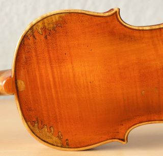 old violin 4/4 geige viola cello fiddle label FRANCESCO RUGGIERI 8