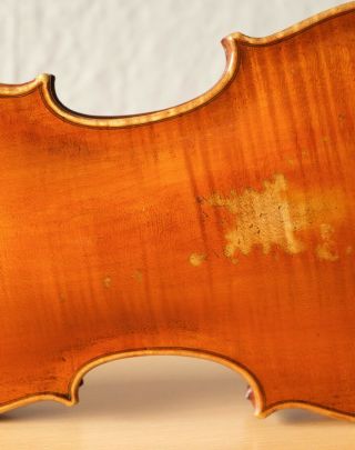 old violin 4/4 geige viola cello fiddle label FRANCESCO RUGGIERI 9