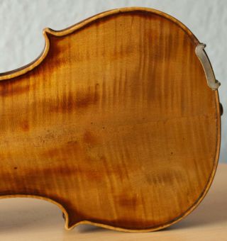 old violin 4/4 geige viola cello fiddle label Camillus de Camilli 10