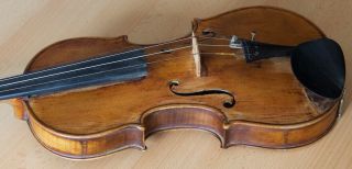 old violin 4/4 geige viola cello fiddle label Camillus de Camilli 11