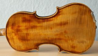 Old Violin 4/4 Geige Viola Cello Fiddle Label Camillus De Camilli