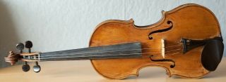 old violin 4/4 geige viola cello fiddle label Camillus de Camilli 2