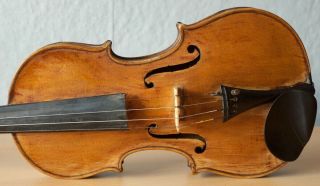 old violin 4/4 geige viola cello fiddle label Camillus de Camilli 3