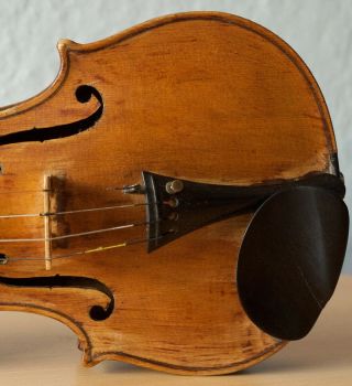 old violin 4/4 geige viola cello fiddle label Camillus de Camilli 6