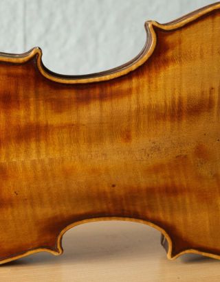 old violin 4/4 geige viola cello fiddle label Camillus de Camilli 9