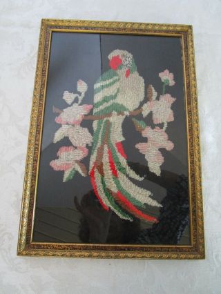 Victorian 1930’s French Beaded Parrot Wood Frame 16¼” X 11 ¼” Antique Embroidery