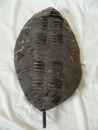 Antique 19th Century Zulu War Shield