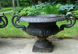 Pair Vintage French LARGE Antique Old CAST IRON Urn Planter Garden SET 2 2