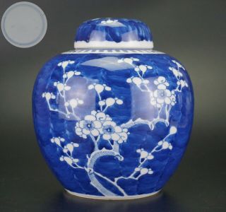 Antique Chinese Blue And White Prunes Blossom Porcelain Ginger Jar & Lid 19th C