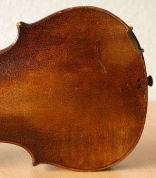 old violin 4/4 geige viola cello fiddle label NICOLAUS AMATUS 10