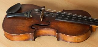 old violin 4/4 geige viola cello fiddle label NICOLAUS AMATUS 11