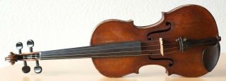 old violin 4/4 geige viola cello fiddle label NICOLAUS AMATUS 2