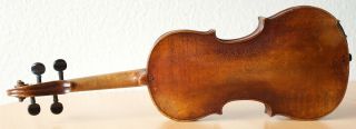 old violin 4/4 geige viola cello fiddle label NICOLAUS AMATUS 7